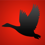 Goose Calls Pro