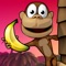 Icon Monkey Bongo