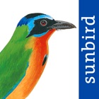 All Birds Trinidad and Tobago - a field guide