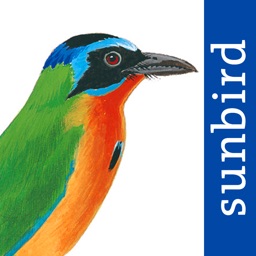 All Birds Trinidad and Tobago