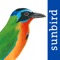 *** This mobile field guide includes all 492 bird species likely to be found on the islands of Trinidad & Tobago