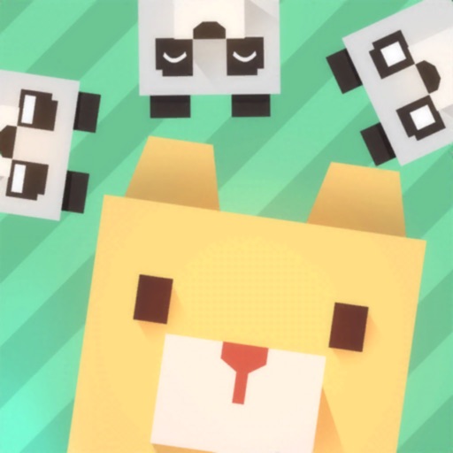 塊樂動物們的日常生活