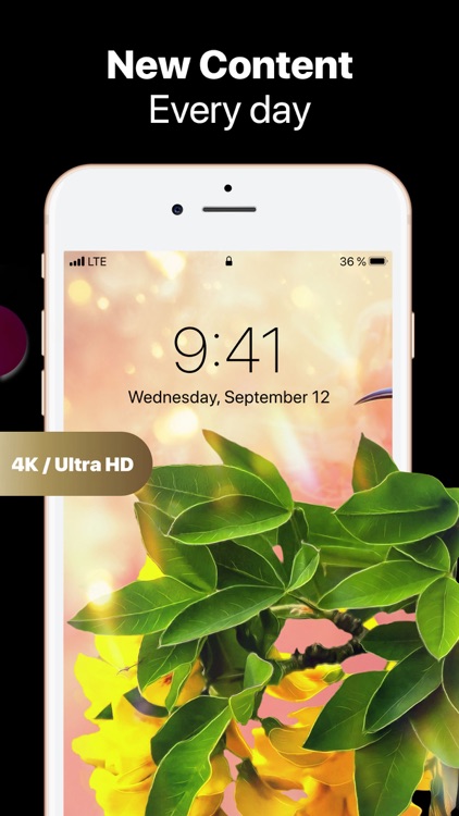 Live Wallpaper HD & Background screenshot-3