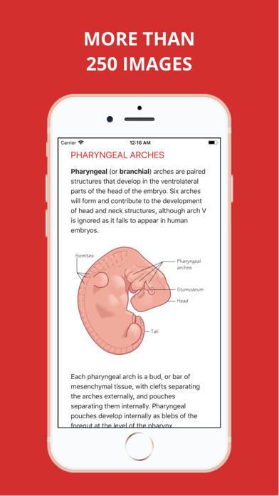 Embryology Pro screenshot 2