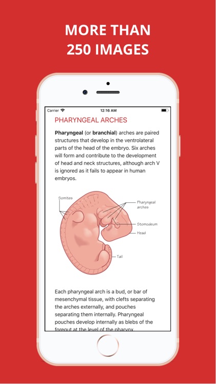 Embryology Pro