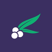 Juniper Education pour PC