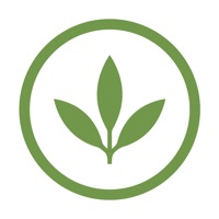 Plant Power Fast Food Erfahrungen und Bewertung