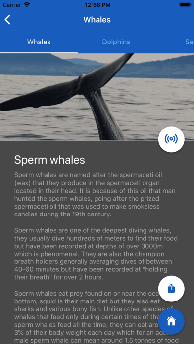 Whale Watch Kaikōura screenshot 2