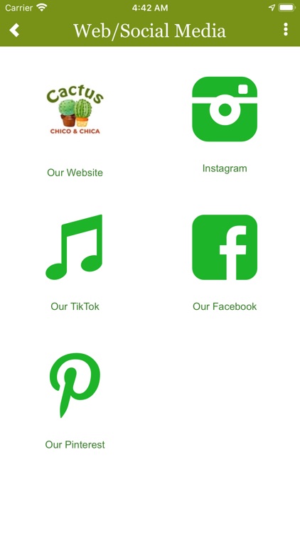 Cactus Chico Chica screenshot-3