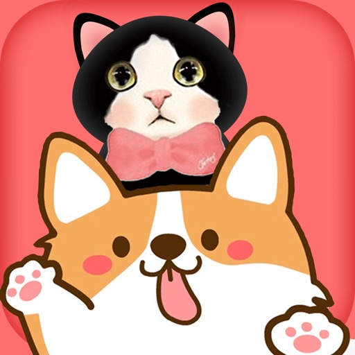Dog&Cat  translator pet co Icon