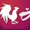 Get Rooster Teeth for FREE to stream thousands of hours of gaming videos, podcasts, comedy shorts, and award-winning animated series like RWBY and Red vs