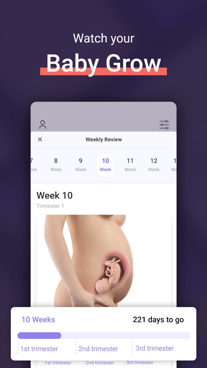 PREGGY - Premium Pregnancy App screenshot-3