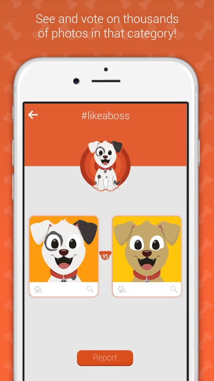 Hashdog - Dog's Social Network