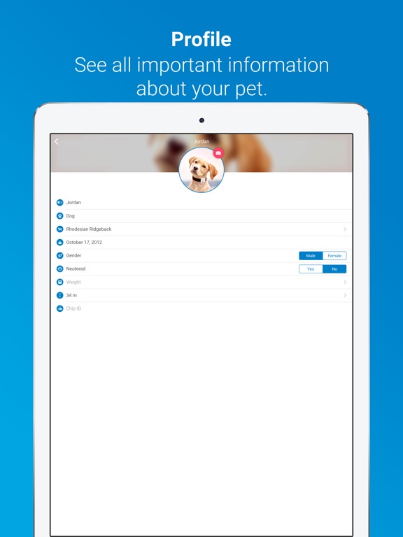 tractive gps web app