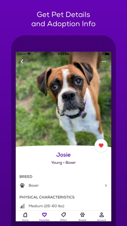 Petfinder Adoptable Pets screenshot-4