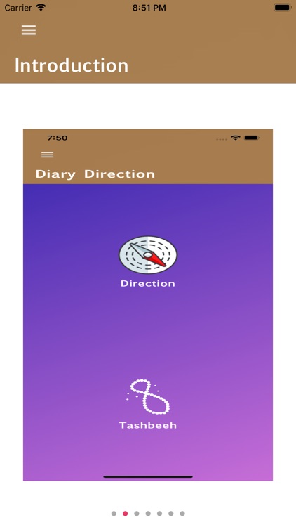 Diary Direction screenshot-7