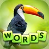 Words and Animals - Crosswords - iPadアプリ