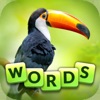 Words and Animals - Crosswords