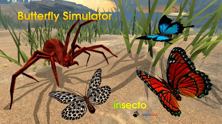 Butterfly Simulator