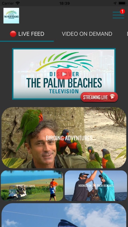 The Palm Beaches TV