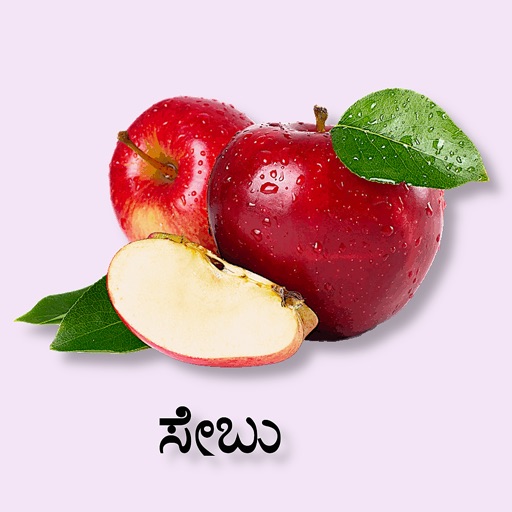 Learn Kannada Flashcards