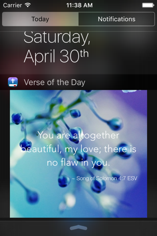 Daily Bible Verse & Devotional screenshot 2