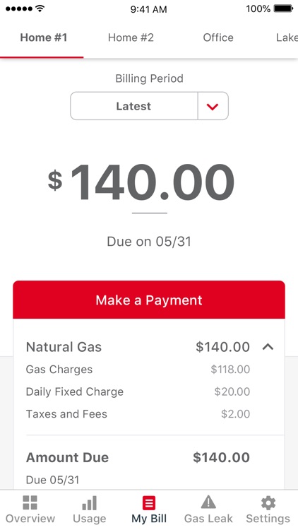 Michigan Gas Utilities (MGU)