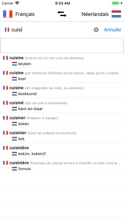 Dictionnaire néerlandais clearance