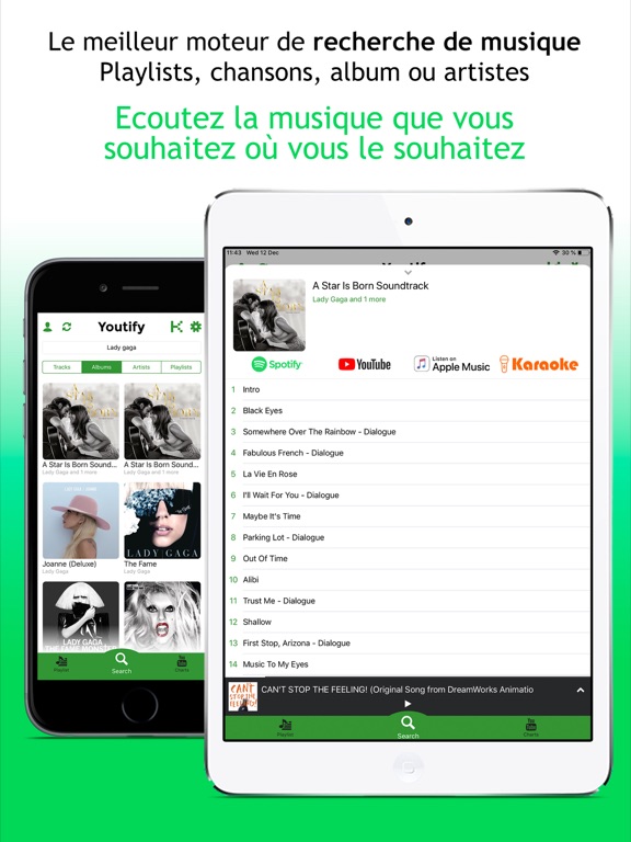 Youtify + for Spotify Premium