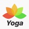 • 100+ Poses easy to follow for one pose to next