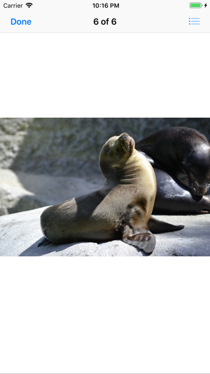 Real Seal Stickers(圖7)-速報App