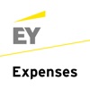 EY Expenses