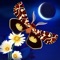 In Flutter: Starlight, you will check the current moon phase and then prepare to attract eggs to your incubator