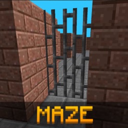 Multicraft Maze 3D