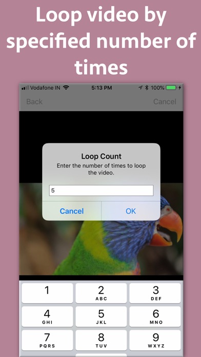 Video Looper Pro screenshot 4