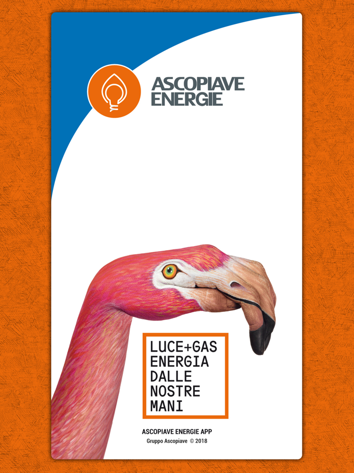 AscopiaveEnergie App gas luce