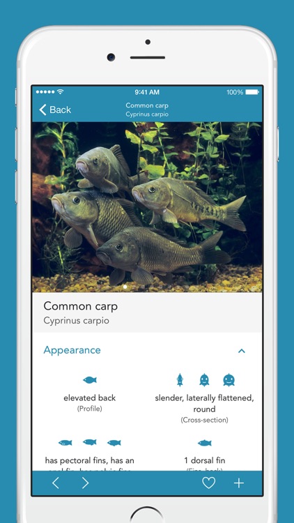 Fishes PRO - Field Guide