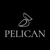 Pelican 51