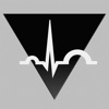 VitalSign Holter