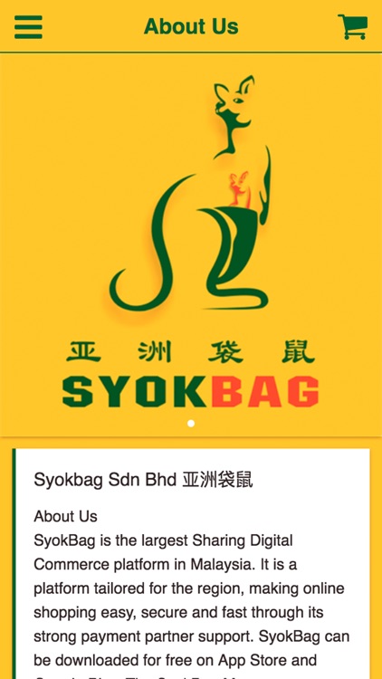 Syokbag