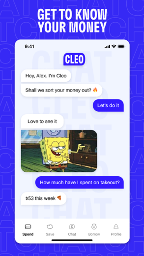 Cleo screenshot 3