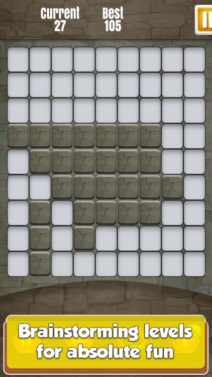 Stone Block Hide Puzzle