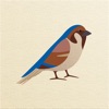 The Blue Sparrow