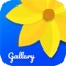 Photo Gallery is an excellent, feature-rich app for organising your photos