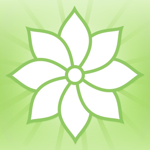 Mindfulness: TAOBH (Lite)