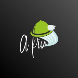 APIU: Artisan Food Delivery.