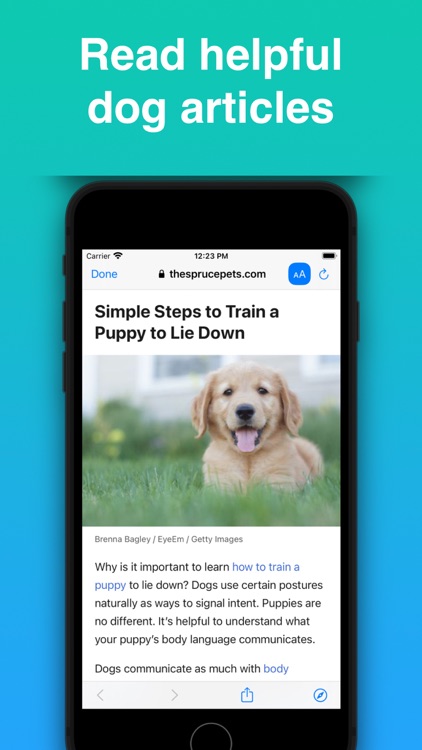 Dog Identifier - Puppy Scanner screenshot-3
