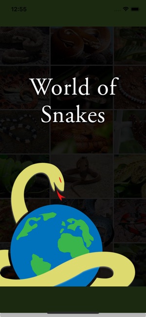 Amazing World Of Snakes