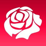 Instant Rose