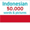 50.000 - Learn Indonesian